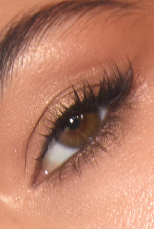 Brow Silk, Eye shadows, Mascara and more!