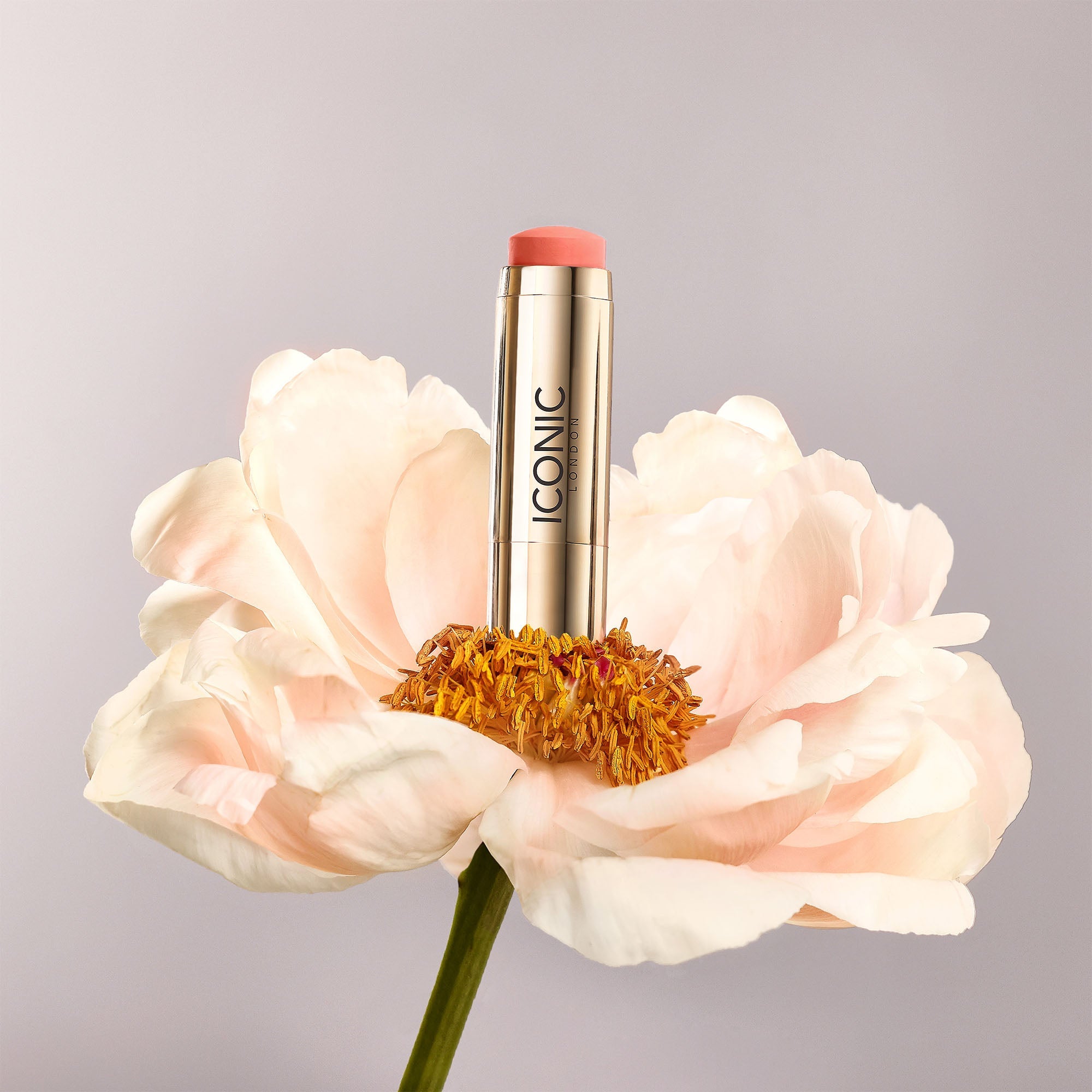 Blurring Blush Sticks